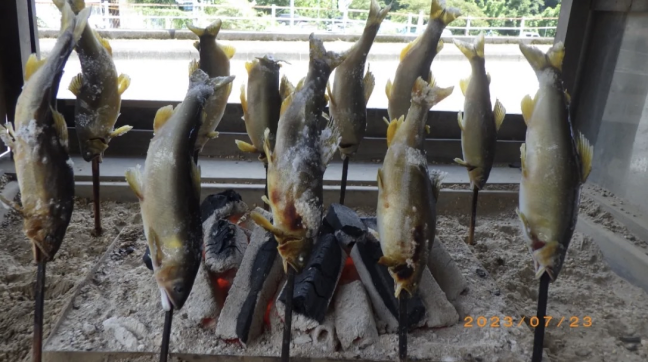 鮎の塩焼き
